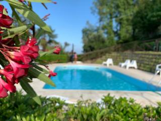 Chiaraluce Country House - Massignano - 4