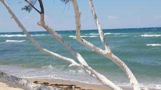 Perea white suites - Perea - 0