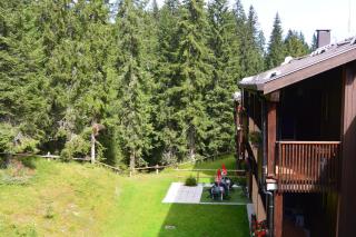 Multiproprietà Rio Falzè - Madonna di Campiglio - 6