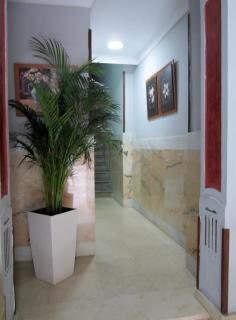 Hotel Niza - 6