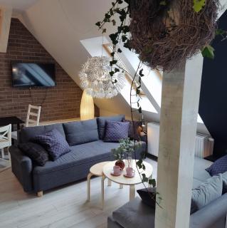 Apartament 800 Apartamenty No.1 Centrum - Stettino - 0