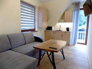 Apartament nr 6 U Miśka - obok dworca - Zakopane - 0