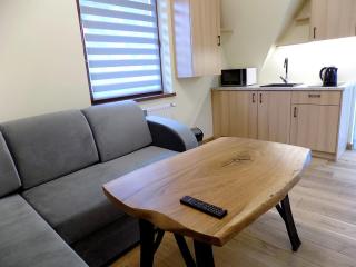 Apartament nr 6 U Miśka - obok dworca - Zakopane - 8