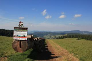 Ferienwohnung-Todtnauberg-in-der-Pension-Gloecklehof - Todtnau - 1