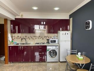 Eznik Koghbatsi- Amiryan crossroads 1 bedroom Newly Renovated apartment KO200 - Erevan - 2