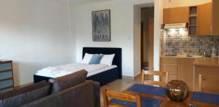 Apartament Holny - 3