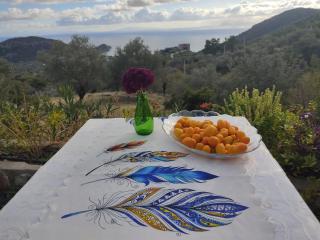 Mavi Kelebek Datca - Datça - 6