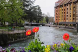 Le Coeur de Ville splendide T2 plein centre - Annecy - 9