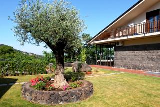 Etna Hut - Nicolosi - 8
