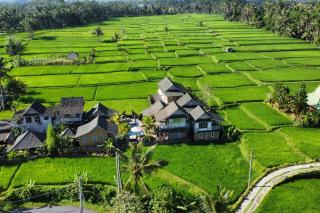 Ananda JJ Ubud Resort & Spa - Ubud - 8