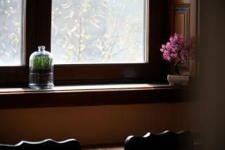 Marija Delux 3 - Srbobran - 6