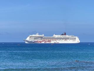 GARDEN VIEW STUDIO - KONA ISLANDER INN CONDOS condo - 3