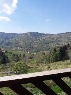 chalet La Vallée - La Bresse - 5