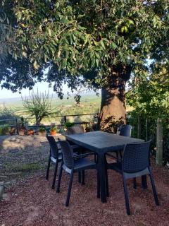Il Rusticano - Chianni - 3