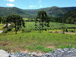 Cabana Uva Niágara - Urubici - 9