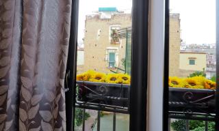 Terra Mia Savoia B&B - Napoli - 7