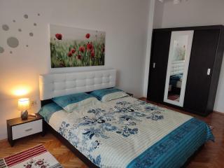 Lovely 1 bedroom apartment in city centre, sleeps 4 ! - Turda - 6