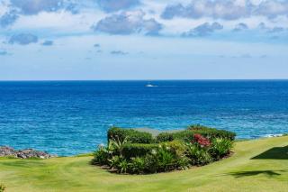Kapalua Bay Villa 29B4 villa - Kahana - 7