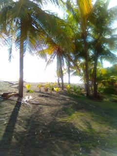 Maison du Bonheur costaricienne sur la plage avec bassin de rafraichissement - Parrita - 3
