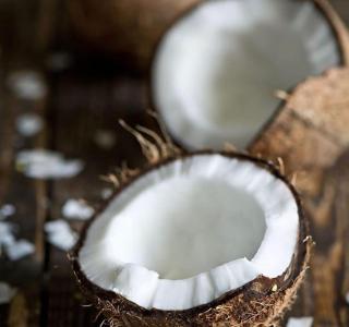 BUNGALOW DE SAINT JACQUES - 8