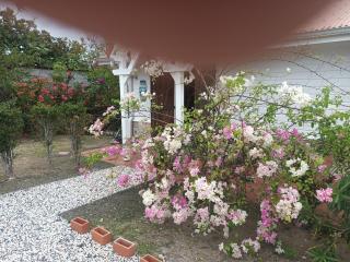 Charmant T3 climatisé Piscine privée - 5