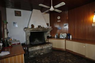 Apartments Golondrina - Selca - 1