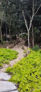 Lovely Apartment HOEStel Pedreira! - 7