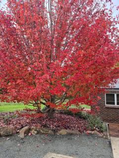 Moore Park Apartments - Armidale - 6