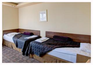 Hotel Gringo - 4