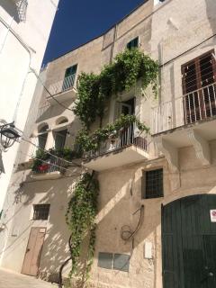 NOVECENTO - Monopoli - 6
