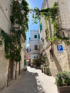 NOVECENTO - Monopoli - 4
