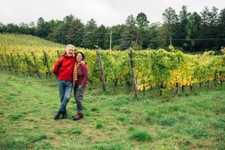 Podere Orto Wine Country House - Trevinano - 3
