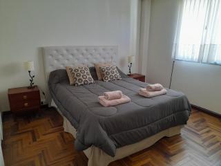 Luminoso y cálido DOS ambientes en excelente ubicación PLAZA MITRE - Mar del Plata - 6