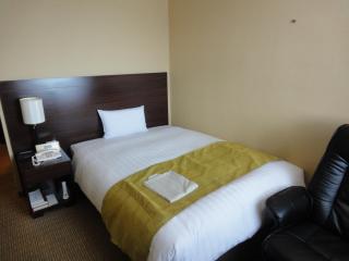 Hotel Nikko Tsukuba - Tsukuba - 4