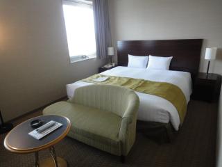 Hotel Nikko Tsukuba - Tsukuba - 1