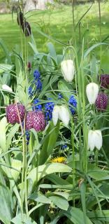 Paul's Farmhouse - 2