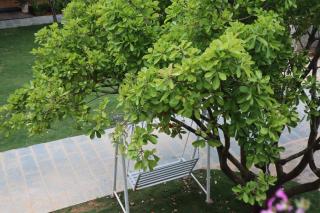Hoang Loc Villa - 4