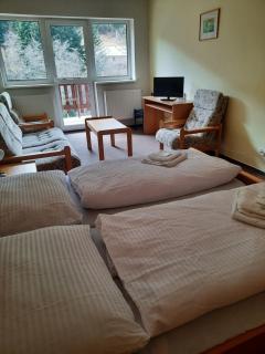 Horský Hotel Podjavorník - Papradno - 5