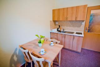 Horský Hotel Podjavorník - Papradno - 3