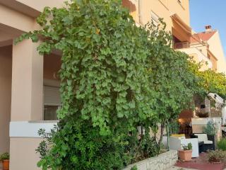 Apartmani Leon - 2