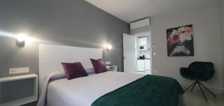 Apartamentos Harmonia - Mérida - 7