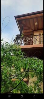 Like Guest House - 2