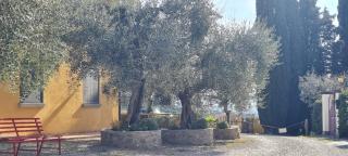 Agriturismo Il Pintello - San Casciano in Val di Pesa - 4