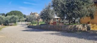 Agriturismo Il Pintello - San Casciano in Val di Pesa - 5