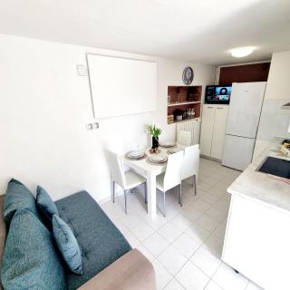 Apartments Villa Bazilika - Sečovlje - 1