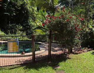 Studio in the Rainforest - 6