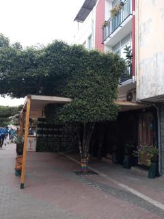 Christian Place - Praia - 1