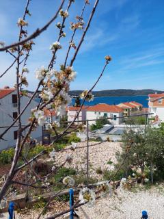 Apartments Babić - 9