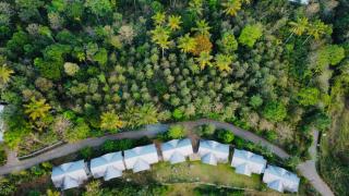 Mannoor Farms Mountain View Stays, Munnar - Munnar - 3