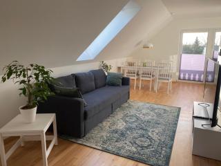 Ferienwohnung am Plöner See - Ascheberg - 1